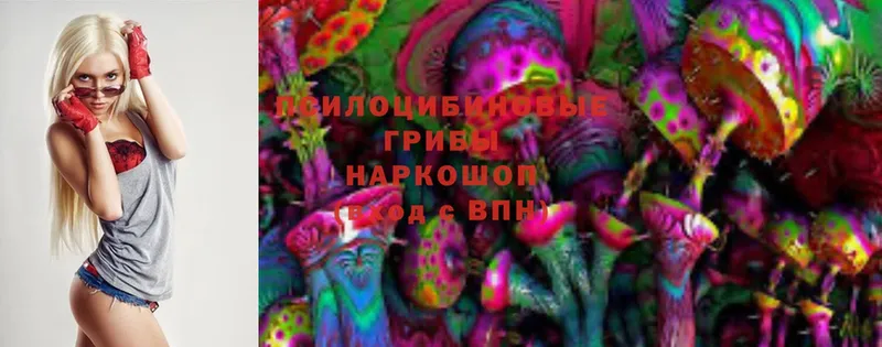 Псилоцибиновые грибы Magic Shrooms  Лысково 